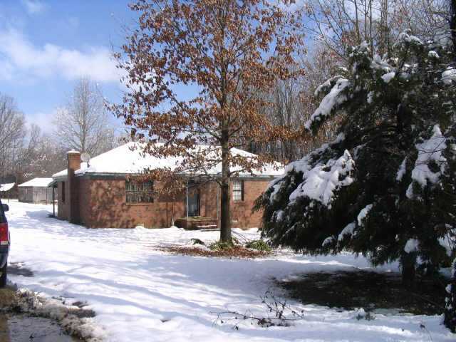 144 Burke Road Stanton, TN 38069 - Photo 1 of 1 Gallery Image 1
