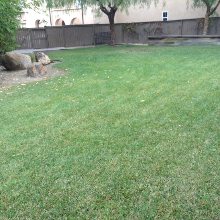 2800 Sterling Ridge Place Chula Vista, CA 91915 - Photo 14 of 14