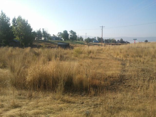 Simcoe Mtn Road Centerville, WA 98613 - Photo 4 of 7 Gallery Image 4