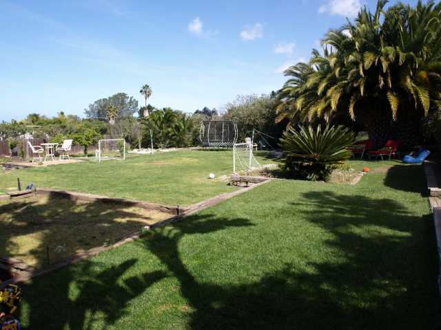 1378 Crest Drive Encinitas, CA 92024 - Photo 14 of 16 Amazing yard with incredible space, view, fruit trees, and fruit/vegetable garden with gardening shed.