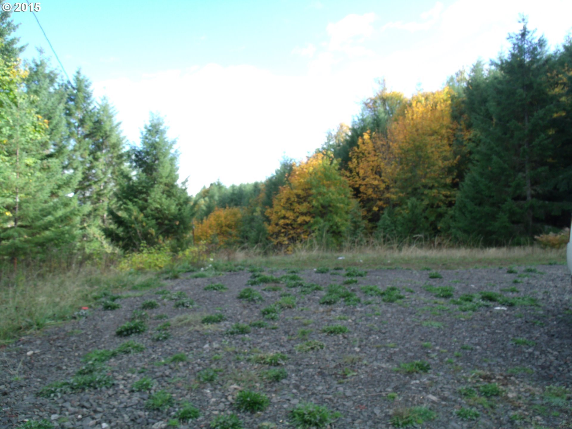 4218 Upper Smith River Road Drain, OR 97435 - Photo 6 of 6 Gallery Image 6