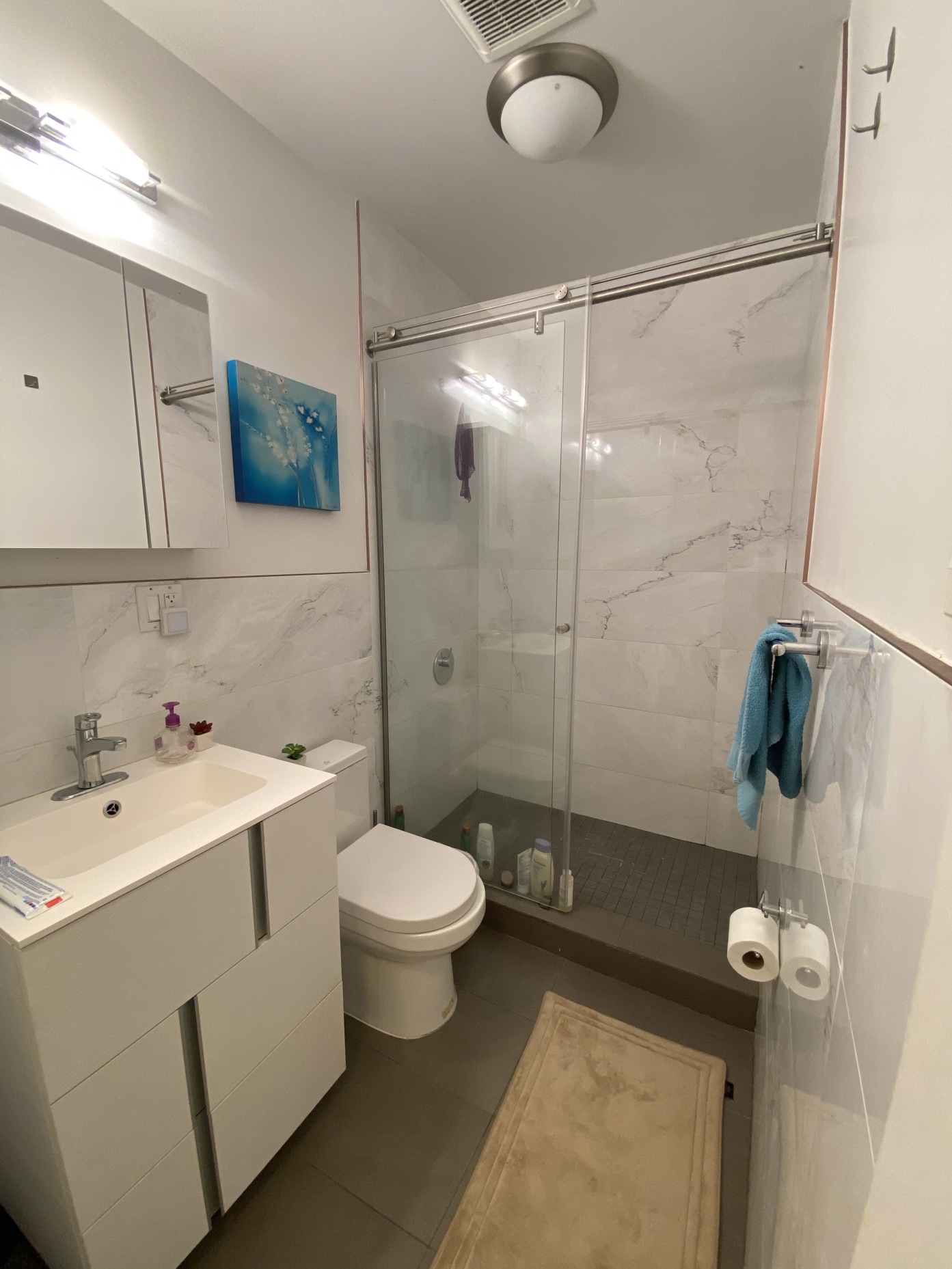 384 12th Street, Unit 2F Brooklyn, NY 11215 - Photo 8 of 11