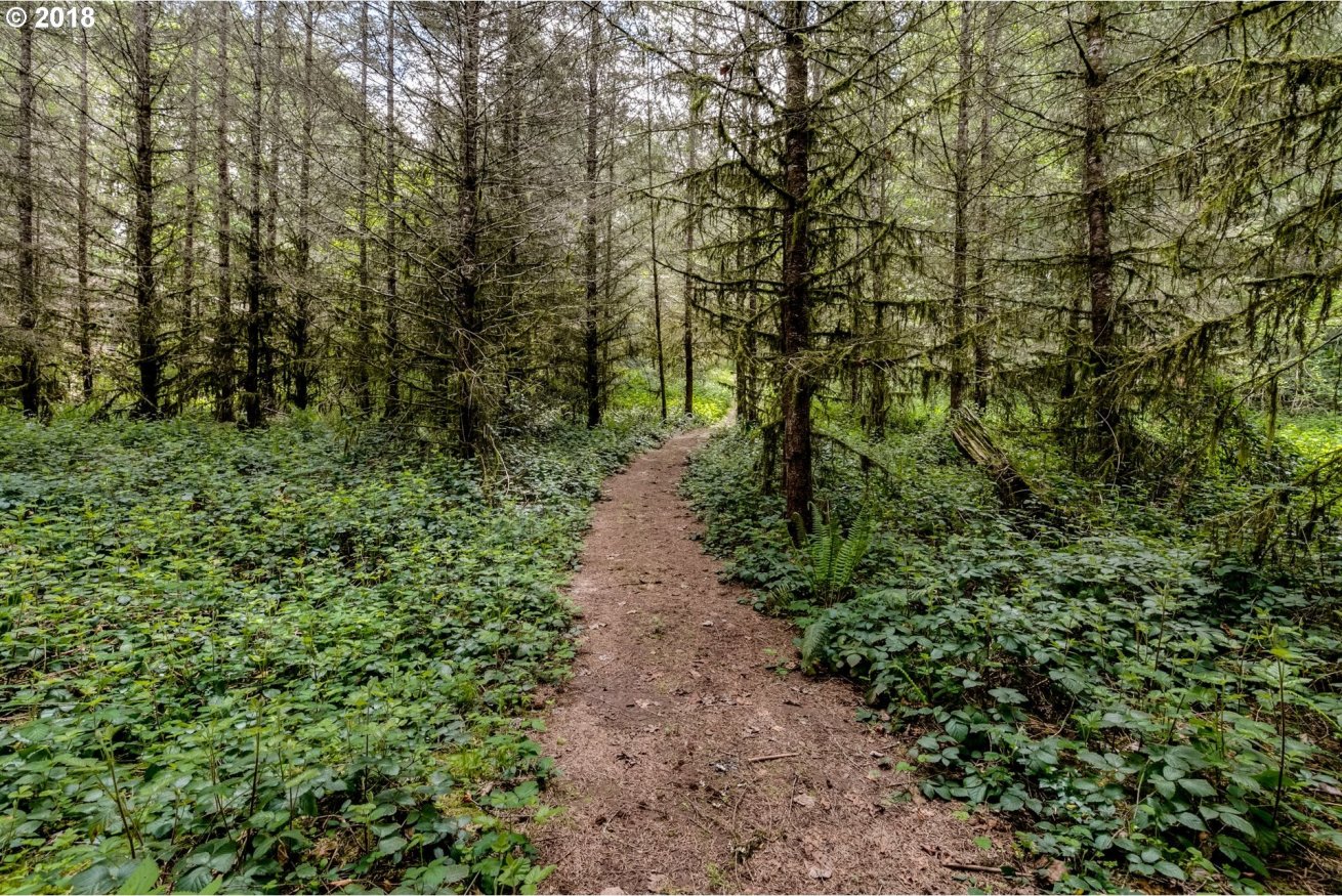39588 Little Fall Creek Road Fall Creek, OR 97438 - Photo 28 of 32