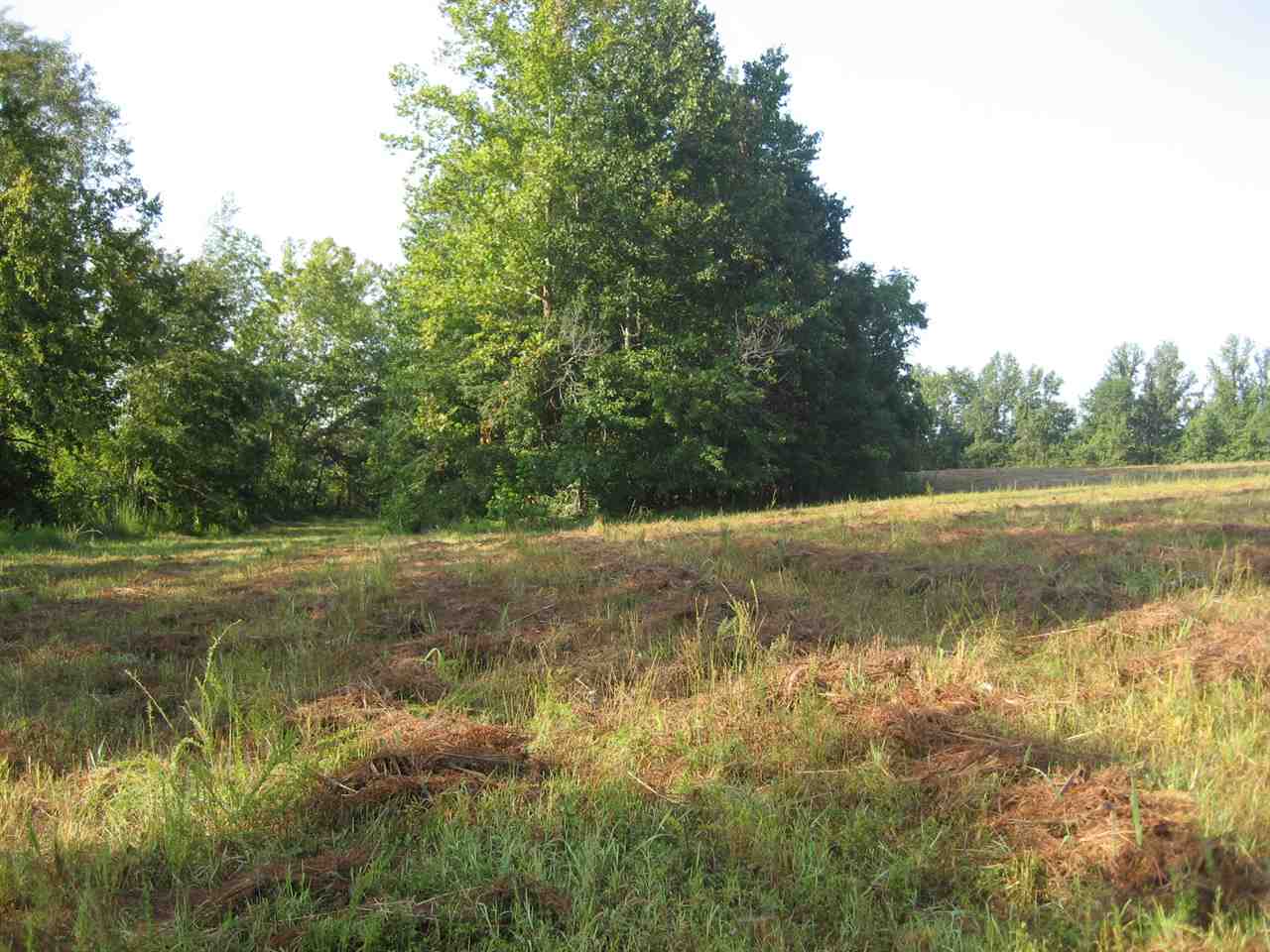 1 Martin Road Adamsville, TN 38310 - Photo 9 of 20 Gallery Image 9
