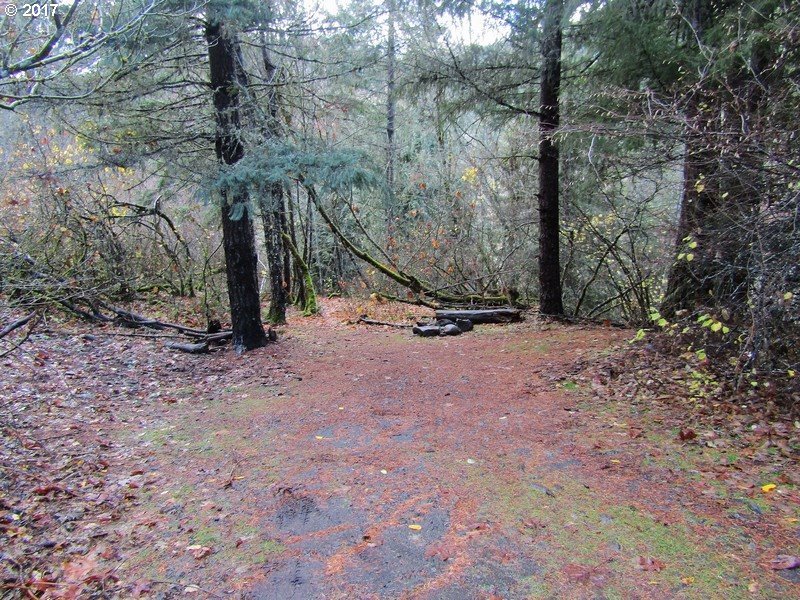 Punch Bowl Rd Mount Hood River, OR 97031 - Photo 1 of 9 Gallery Image 1
