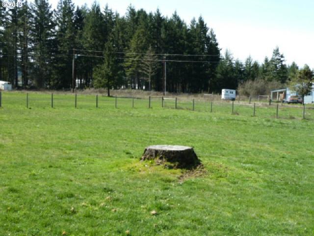 335 Fir Vista Road Sutherlin, OR 97479 - Photo 4 of 13