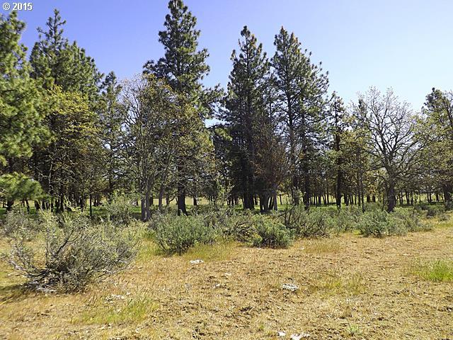Orchard Heights Road Goldendale, WA 98620 - Photo 3 of 14 Gallery Image 3