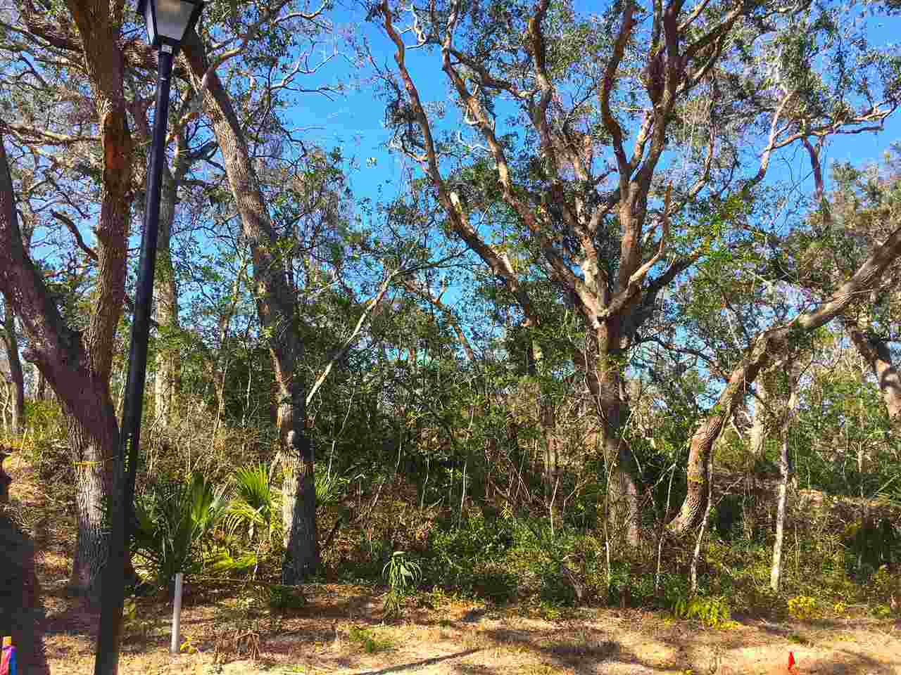 529 Ridgeway Road St Augustine, FL 32980 - Photo 3 of 10