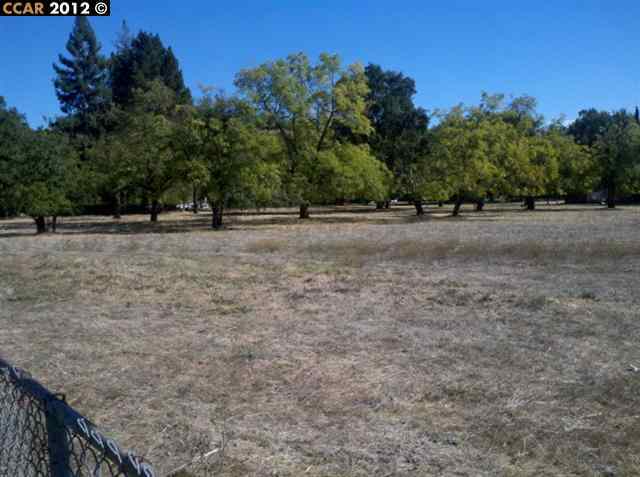 853 Diablo Road Danville, CA 94526 - Photo 1 of 1 Gallery Image 1