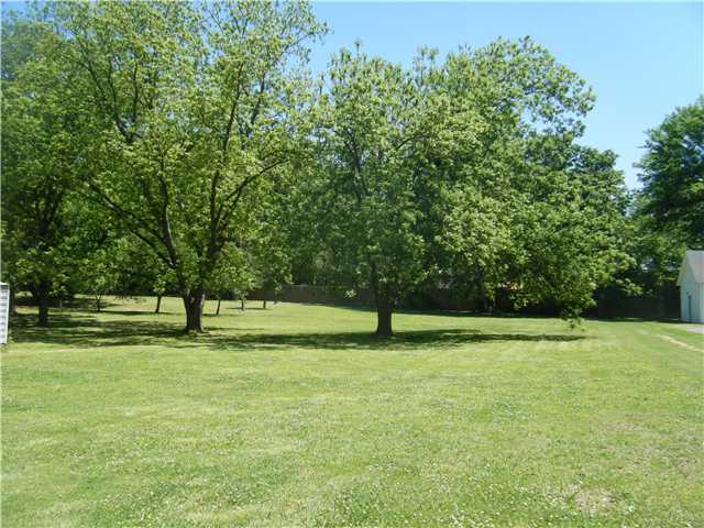 2668 Charles Bryan Road Bartlett, TN 38134 - Photo 20 of 20 Lovely Backyard to Fence for Family Fun+Garden