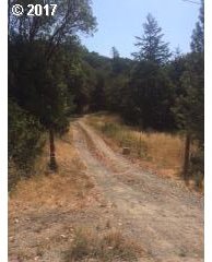 1785 Spring Brook Road Myrtle Creek, OR 97457 - Photo 2 of 8