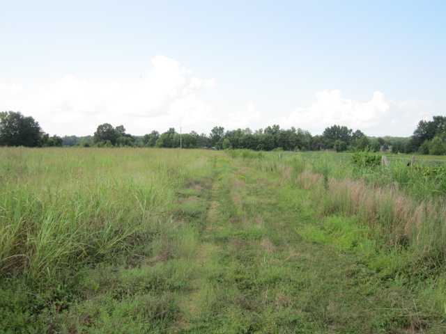 208 Cliff Williams Road Senatobia, MS 38668 - Photo 8 of 15 Gallery Image 8