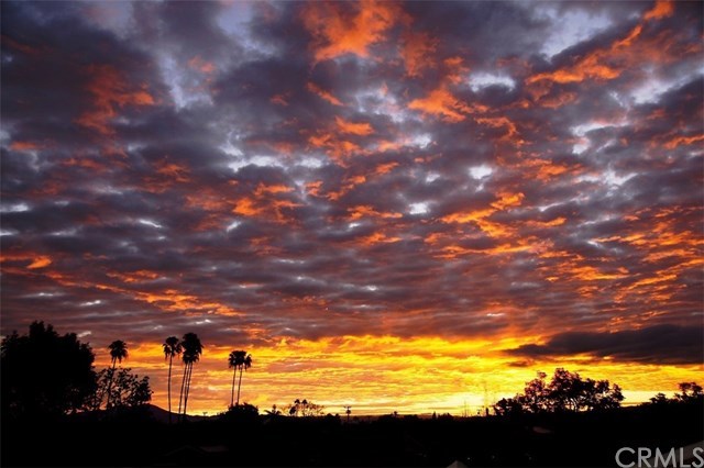 1773 Bahama Place Costa Mesa, CA 92626 - Photo 16 of 20 Sunrise over the pond.