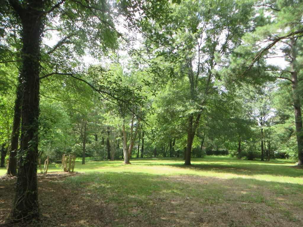 6110 Elmore Road Bartlett, TN 38134 - Photo 20 of 20