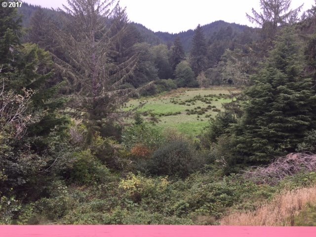 602 Evergreen Loop Reedsport, OR 97467 - Photo 7 of 28 Gallery Image 7