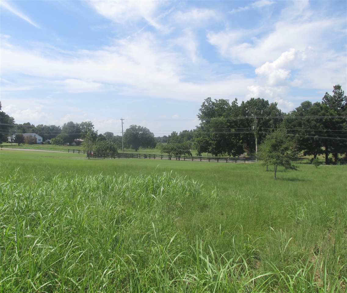 9120 Brunswick Road Millington, TN 38053 - Photo 10 of 23 Gallery Image 10