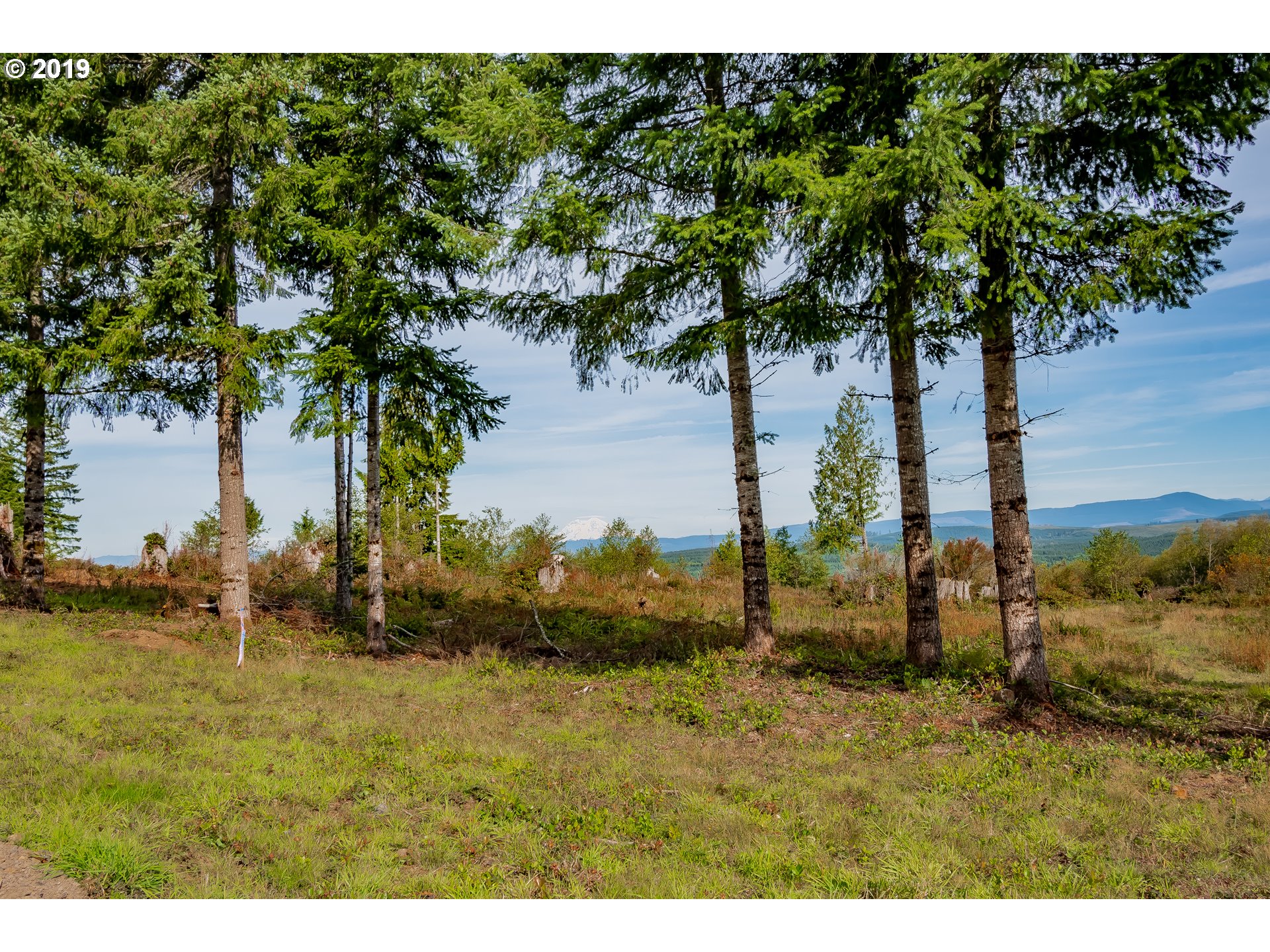 0 Redhawk Road, Unit 6 Castle Rock, WA 98611 - Photo 10 of 15 Gallery Image 10
