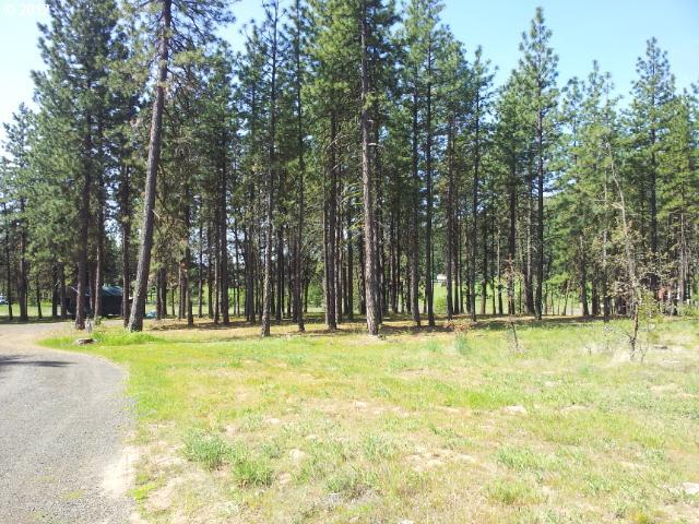 218 West Winterstein Road Goldendale, WA 98620 - Photo 15 of 16 Gallery Image 15