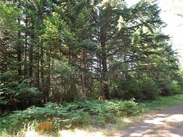Moonshine Road Appleton, WA 98602 - Photo 5 of 8 Gallery Image 5