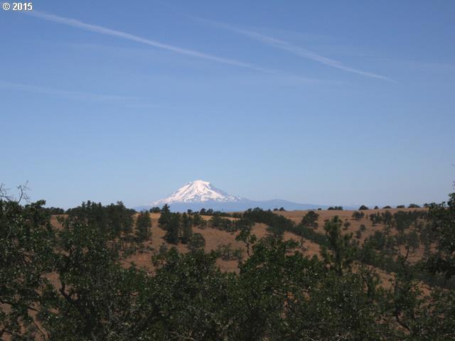 Dry Hollow Road The Dalles, OR 97058 - Photo 2 of 10 Gallery Image 2
