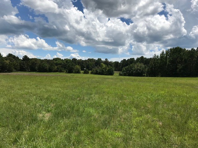 305 Nubbin Ridge Road Middleton, TN 38052 - Photo 11 of 25 Gallery Image 11