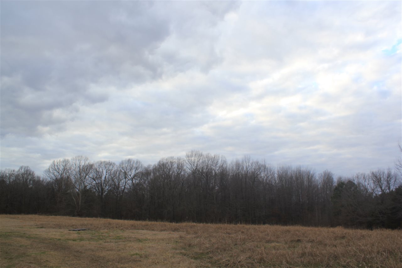 271 Ralph Jackson Road Coldwater, MS 38618 - Photo 3 of 24 Gallery Image 3
