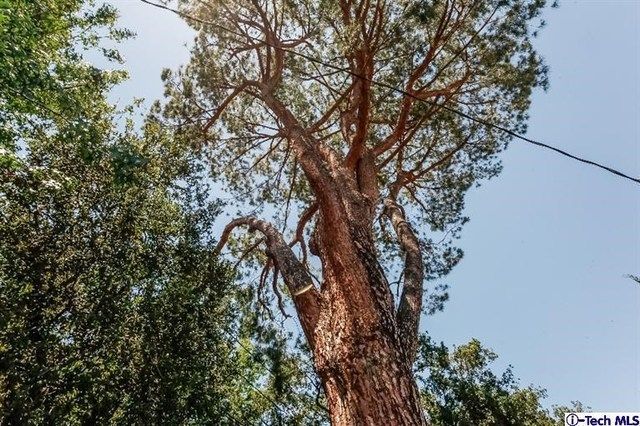 $815,000 | 2121 East Altadena Drive, Altadena, CA 91001