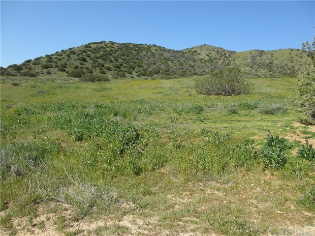 0 Crown Valley Road Acton, CA 93510 - Photo 1 of 3