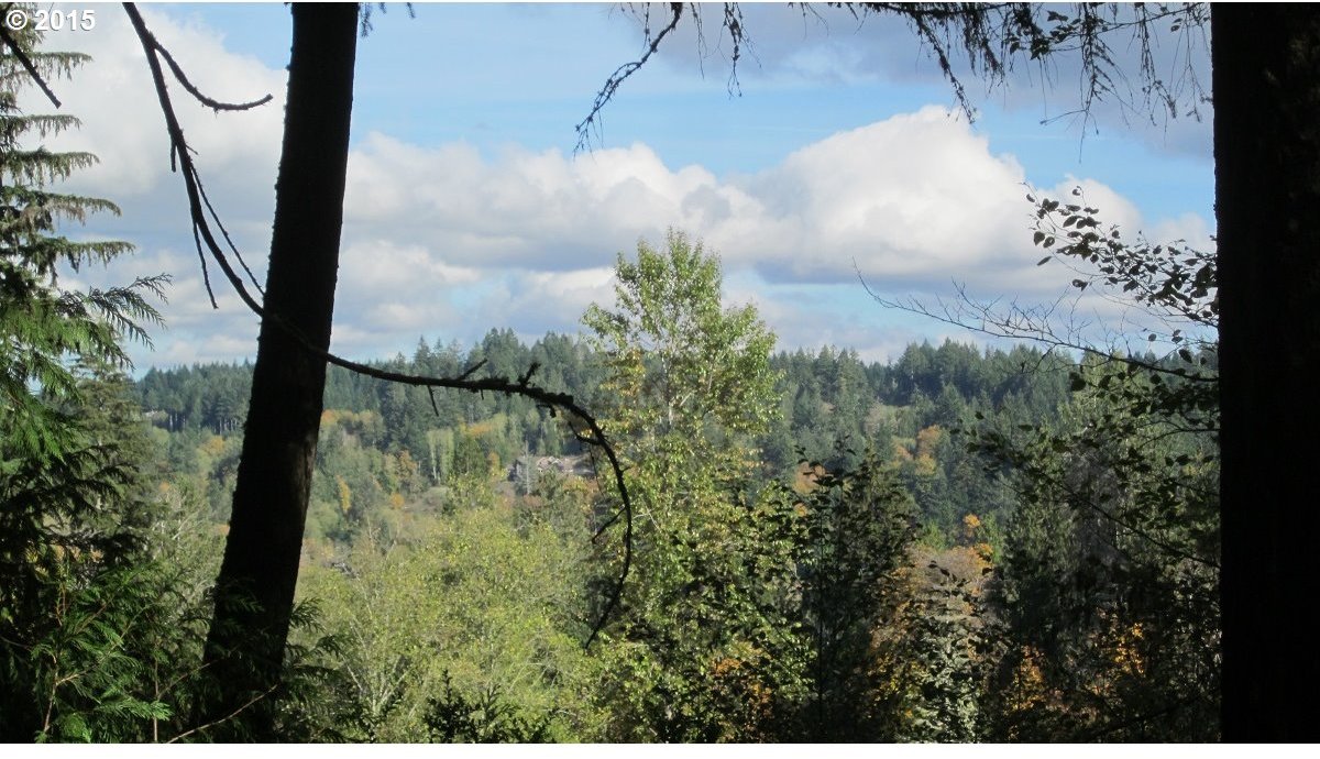 3 East State Route Allyn, WA 98524 - Photo 13 of 14 Gallery Image 13