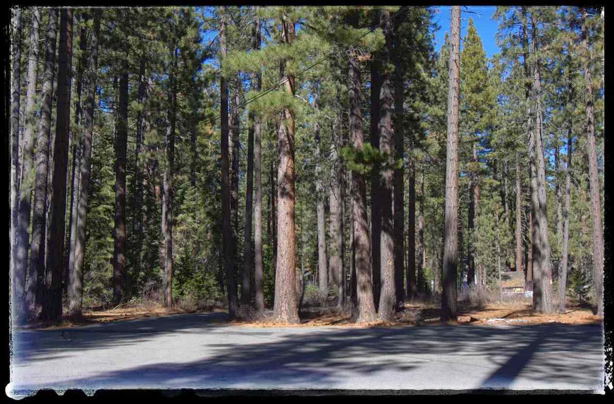 2566 Lake Forest Road Tahoe City, CA 96145 - Photo 13 of 14