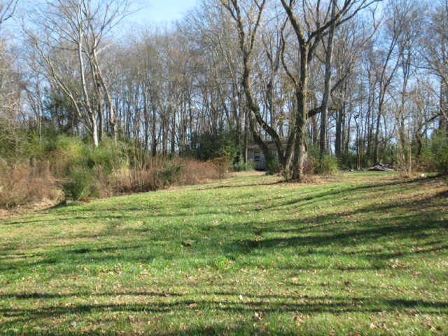 0 Frye Road Columbia, TN 38401 - Photo 9 of 12 Gallery Image 9