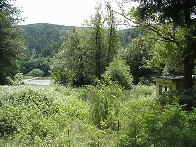 97642 North Bank Rogue River Road Gold Beach, OR 97444 - Photo 4 of 8 Gallery Image 4