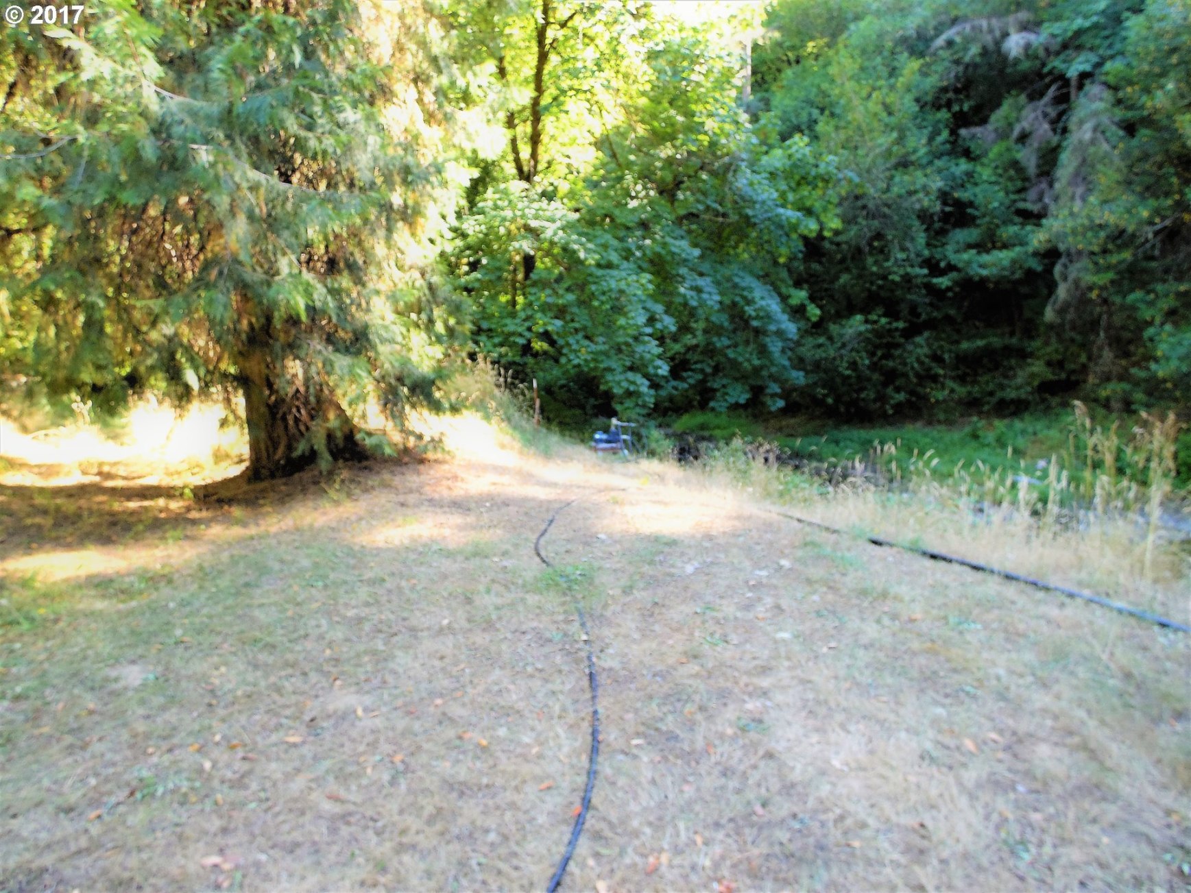 2961 South Myrtle Road Myrtle Creek, OR 97457 - Photo 20 of 32 Gallery Image 20
