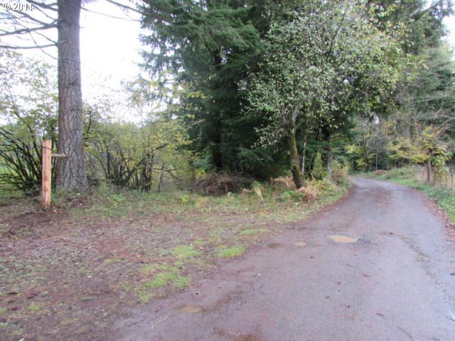 Skye Road Washougal, WA 98671 - Photo 2 of 11