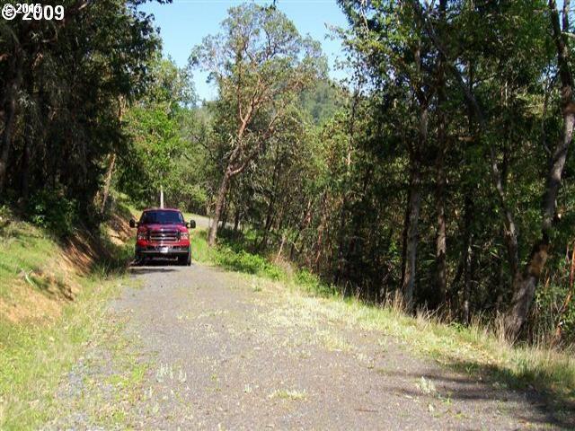 1374 Clarks Branch Road Myrtle Creek, OR 97457 - Photo 3 of 7 Gallery Image 3