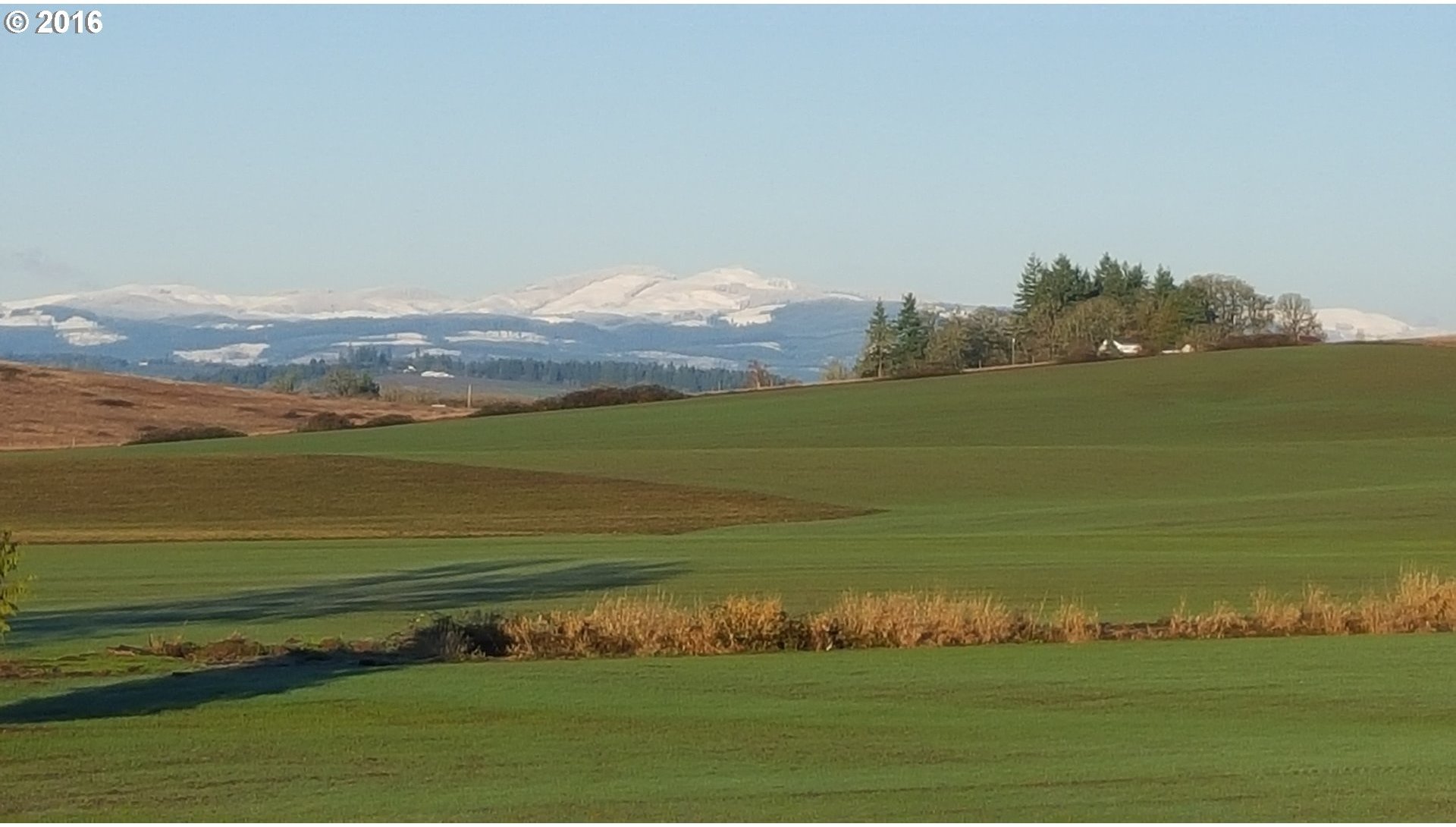 40175 Southwest Laurelwood Road Gaston, OR 97119 - Photo 15 of 32