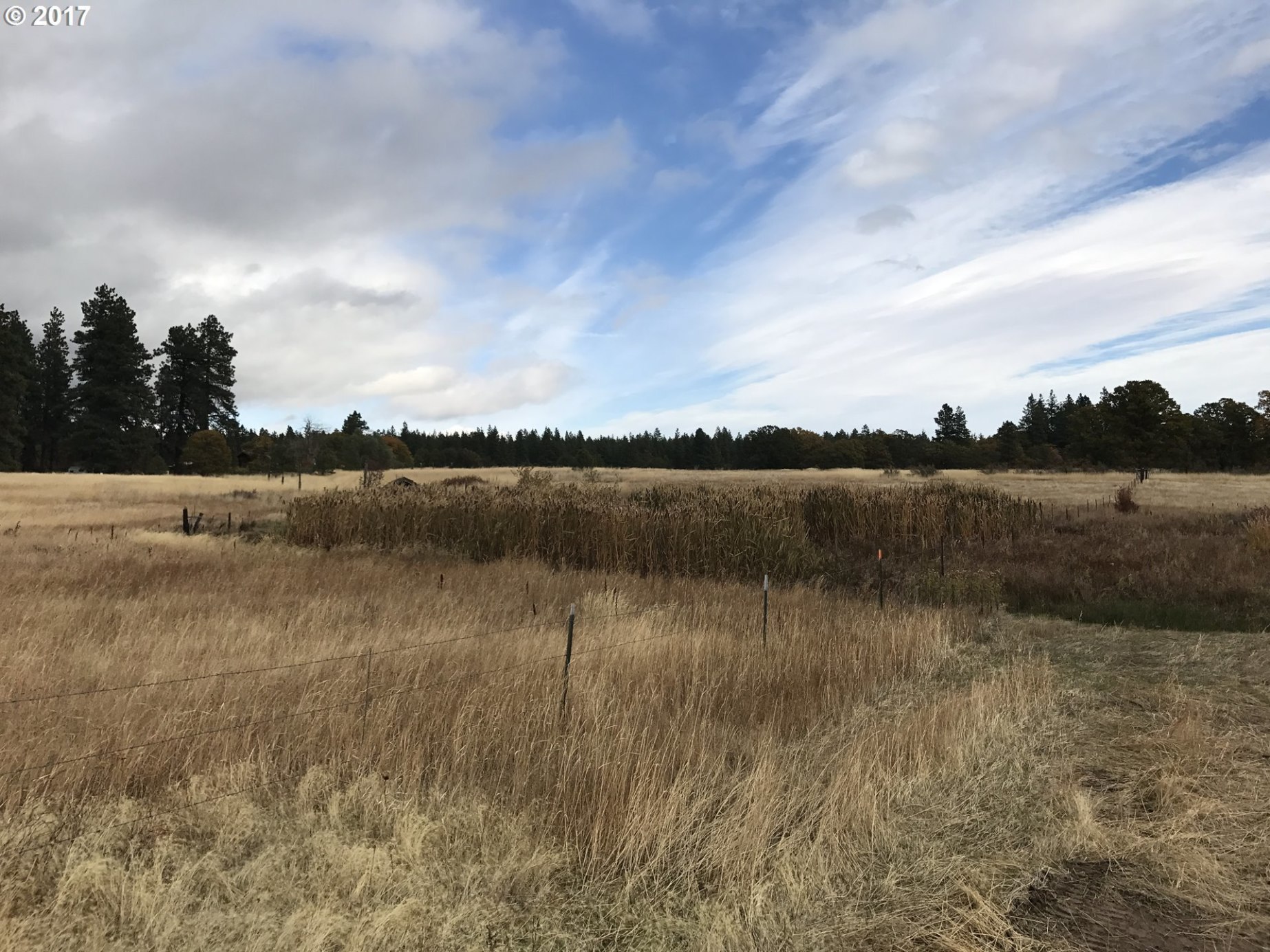 310 Orchard Heights Road Goldendale, WA 98620 - Photo 12 of 28 Gallery Image 12