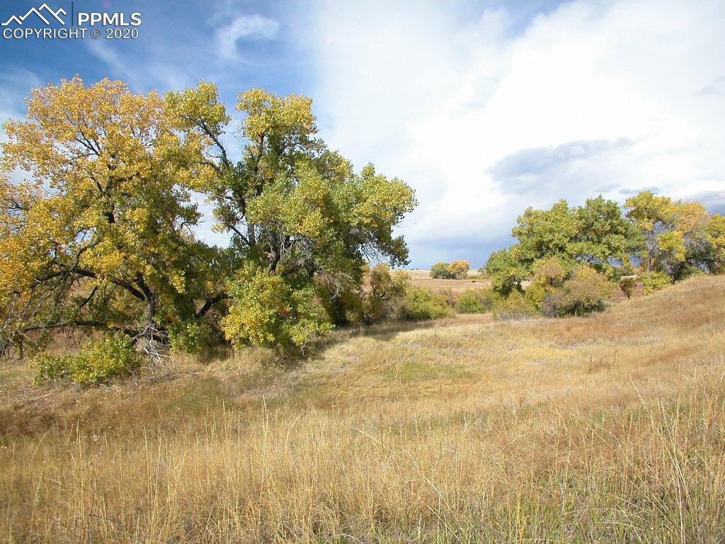 11575 Guthrie Road Calhan, CO 80808 - Photo 28 of 35