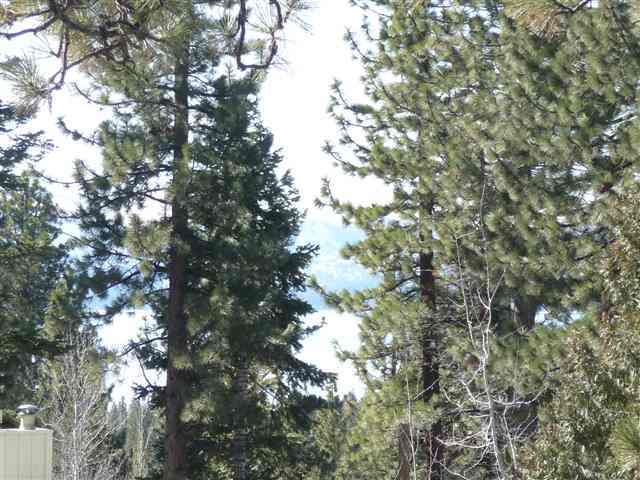 3035 Watson Drive Tahoe City, CA 96145 - Photo 9 of 9