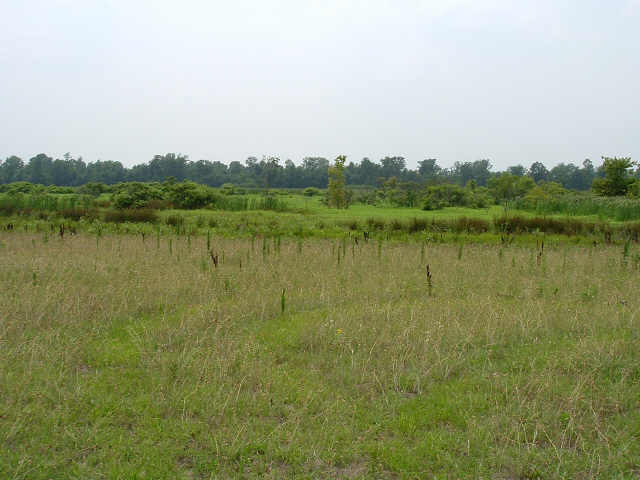 0 Buford Road Dundee, MS 38626 - Photo 10 of 10 Gallery Image 10