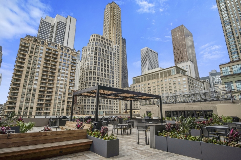 30 E Huron St, Chicago, IL 60611 - Photo 9 of 16