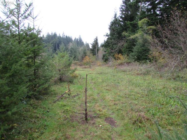 Skye Road Washougal, WA 98671 - Photo 4 of 11
