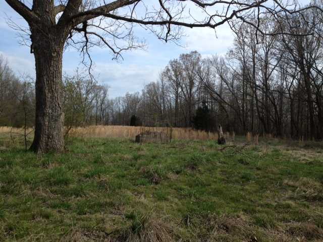 5182 Beauty Hill Road Adamsville, TN 38310 - Photo 10 of 10 Gallery Image 10
